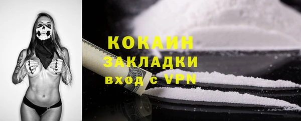 ALPHA-PVP Няндома