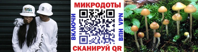 Псилоцибиновые грибы GOLDEN TEACHER  где найти наркотики  блэк спрут ссылки  Нижний Тагил 